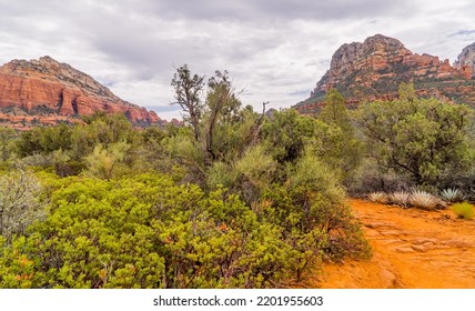 Beautiful Panorama Landscapes On The Devils Bridge Hike In Sedona, AZ, USA