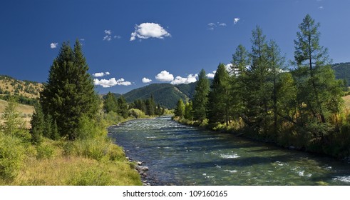 A beautiful panorama of the mountain river in the Altai. Summer