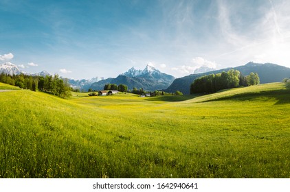 Beautiful panoramic view of idyllic alpine mountain scenery with blooming meadows and snowcapped mountain peaks in scenic golden afternoon light on a sunny day with blue sky and clouds in springtime