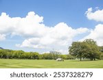 Beautiful panoramic view at Kumamoto Castle in Summer, Kumamoto, Japan