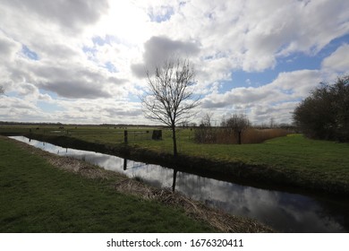 Beautiful panoramic view over a characteristic Dutch pasture landscape with a view over a ditch and bare tree. Photo was taken on a sunny March day with a beautiful blue sky with clouds. - Shutterstock ID 1676320411