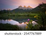 A beautiful panoramic view of the Three Sisters at sunset in Canmore, with flowers in the foreground