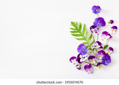 beautiful pansy violet summer flowers flatlay on white