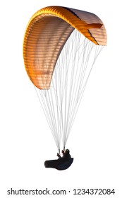 Beautiful paraglider in flight on a white background. isolated