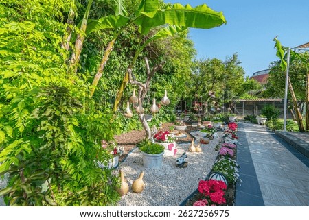 Beautiful park and garden decoration with dried water pumpkins 