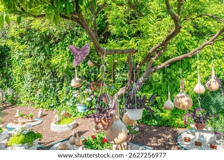 Beautiful park and garden decoration with dried water pumpkins 