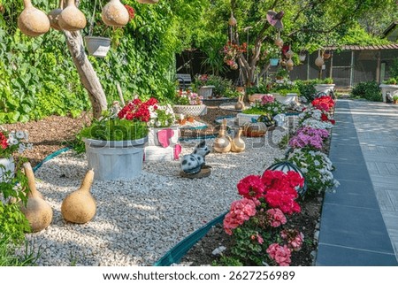 Beautiful park and garden decoration with dried water pumpkins 