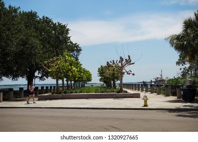 Beautiful Park With Green Trees On The Shore Of The Bay. Tourist With A Map In The Park. Joe Riley Waterfront Park. Charleston, SC / USA - July 21 2018