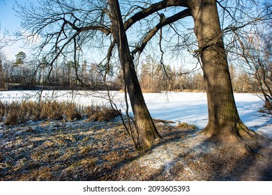 A Beautiful Park In The Moscow Region, Where The  Estate Was More Than 200 Years Ago.