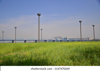 A Beautiful Park With A River And Background Of Seoul Skyline. Day Cycling At Han Riverside