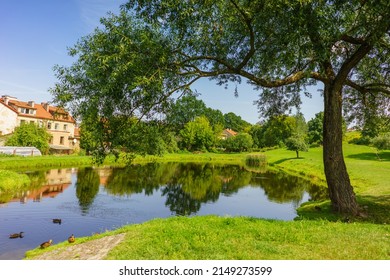 Beautiful Park Scene in Public Park with Green Grass Field, Green Tree Plant, Scenic View of the Park in the Summer, Exercise and Relax