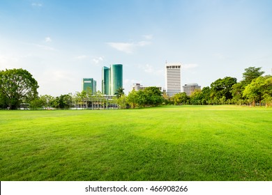 Beautiful Park Scene In Public Park With Green Grass Field, Tree Plant And Architecture On Blue Sky Background