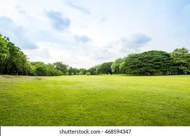 Beautiful Park Scene In Public Park With Green Grass Field, Green Tree Plant And A Party Cloudy Blue Sky