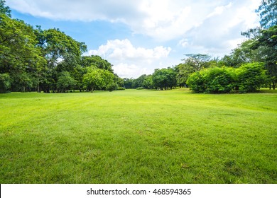 Beautiful park scene in public park with green grass field, green tree plant and a party cloudy blue sky - Shutterstock ID 468594365