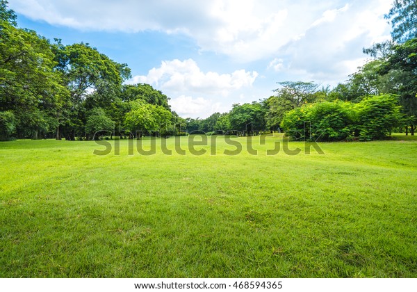 緑の草原 緑の木の植物 パーティーの曇り空を持つ公園の美しい風景 の写真素材 今すぐ編集