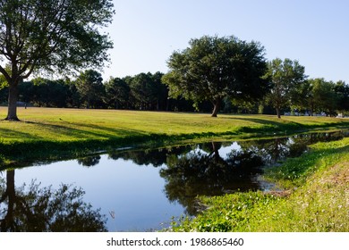 A Beautiful Park In South Tampa