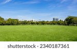 beautiful park with beautiful trees in the background and blue sky with clouds