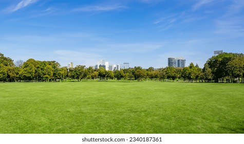 beautiful park with beautiful trees in the background and blue sky with clouds