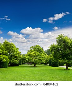 Beautiful Park Trees Over Blue Sky. Formal Garden