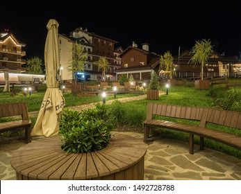 Forest Seat Stock Photos Images Photography Shutterstock