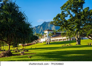 Beautiful park with university of Hawaii during sunny day near Honolulu.