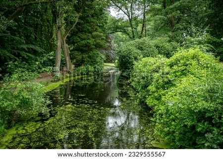 a beautiful park in Vlodrop in the Netherlands with many green trees shrubs plants and ponds with ducks frogs trees in the background also with red leaves