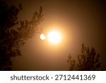 A beautiful partial solar eclipse in the skies over the Baltic Sea with pine tree silhouettes. A summer scenery shot through an ND filter in Latvia, Europe.