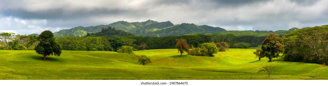 Beautiful Pastoral Valley on the Island of Kauai, Hawaii. Grazing sheep and beautiful light make this an idyllic tropical vista on the "Garden Island" of Kauai, Hawaii. - Shutterstock ID 1987864670