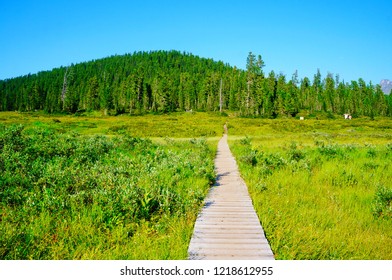 Beautiful path through taiga forest in Western Sayan, Ergaki National Park, Krasnoyarsk Krai, southern Siberia, Russia - Shutterstock ID 1218612955
