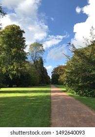 Beautiful path through the trees.