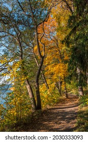 Beautiful Pathway Along The Lake On A Sunny Autumn Day. Bright Landscape With Path In Perspective Among Colorful Autumnal Trees. Swedish, Scandinavian Nature. Empty Way Leading Ahead Into The Distance