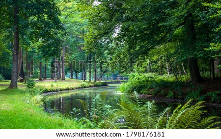 Beautiful pathway and big trees along small river in the green forest, european countryside landscape spring season. Pinetum Blijdenstein, park in Hilversum Netherland.Beautiful botanical garden.
