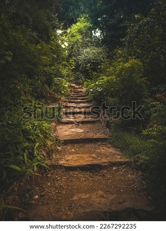 Similar – stairs with moss in the middle of a dark forest