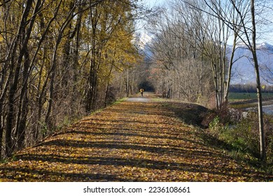Beautiful pathway in the wood, Magadino, Ticino, Switzerland - Shutterstock ID 2236108661