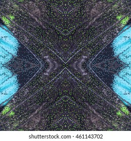 Beautiful pattern abstract background texture made from colorful butterfly wing