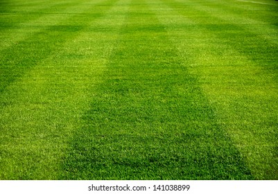 beautiful pattern of fresh green grass for football sport, football field, soccer field, team sport texture - Shutterstock ID 141038899