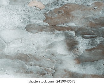 Beautiful Patterns and Textures of Guava Tree Bark #GuavaTreeBark #BeautifulPatterns #TreeTexture #BeautifulTexture #Patterns #Textures #TreePatterns #WoodPatterns #WoodTextures  #Background #Macro