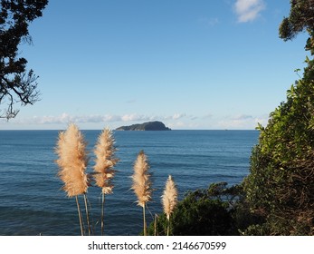 Beautiful Pauanui Paradise - A Tranquil Part Of The Coromandel Coast In New Zealand.