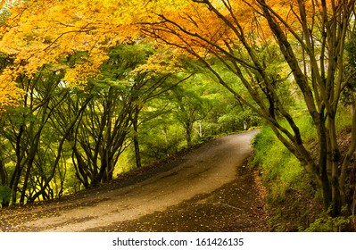 A Beautiful Peaceful Autumn Scene