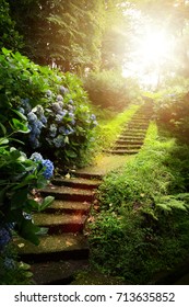 Beautiful Peaceful Landscape; Path In The Old Green Park