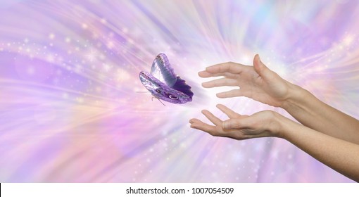 The beautiful peaceful moment of a butterfly being released - soul release metaphor - female hands appearing to let go of a butterfly on a pink energy flowing background with copy space
