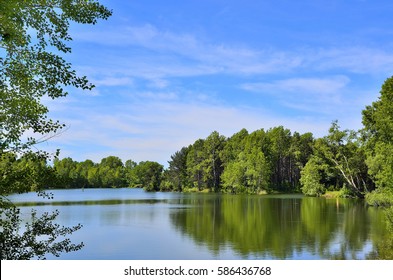 Beautiful peaceful summer scenery on lakeside with reflection and tree branches at foreground 