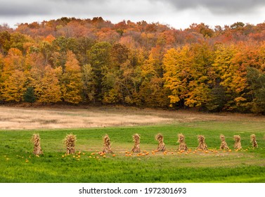 Beautiful Peak Fall Foliage In Display In North West Michigan.