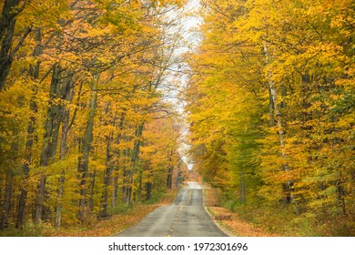 Beautiful Peak Fall Foliage In Display In North West Michigan.