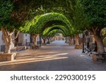 Beautiful pedestrian-only main street surrounded by lush, vibrant manicured trees in Loreto, Mexico
