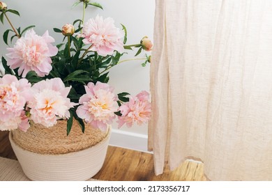 Beautiful peonies bouquet in basket near linen curtains in boho room. Modern bohemian decor, stylish comfy interior details. Gentle pink peony flowers on rustic background, atmospheric image