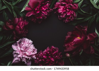 Beautiful peonies frame in dark colors. Black Floral background. Festive flowers concept. Soft focus, copy space.