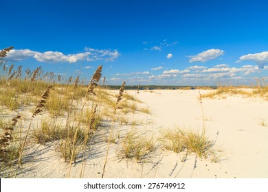 Beautiful Perdido Beach in Pensacola, Florida.