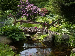 Beautiful Perfect Backyard Landscaped Garden With Wooden Bridge