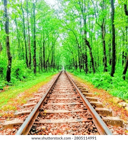 Beautiful perspective view of a train track cutting through a vibrant green jungle tunne